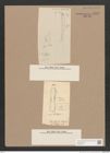 Navicula sp. (de-Toni-Nr.: Genus 1) Zeichnungen Sammlung Grunow Nr. 1547 (NHMW-BOT-W0368076)